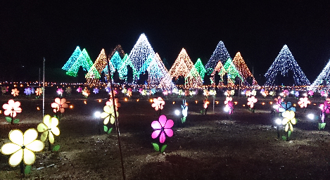 25年12月3日 8