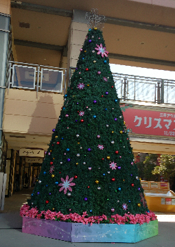 25年12月7日 5