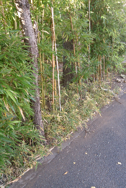 25年12月14日 6