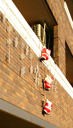 25年12月14日 6.5