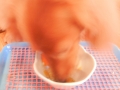 H261005shane09.jpg