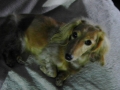 H261006teiden05.jpg