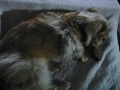 H261006teiden07.jpg