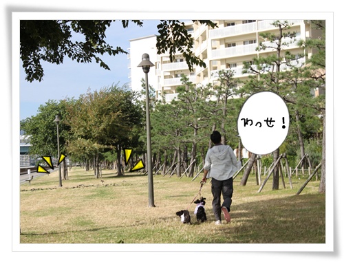 わっせ