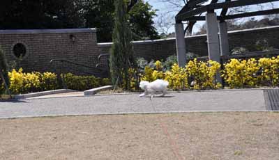 DSC_1605.jpg