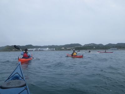 IMGP2223.jpg