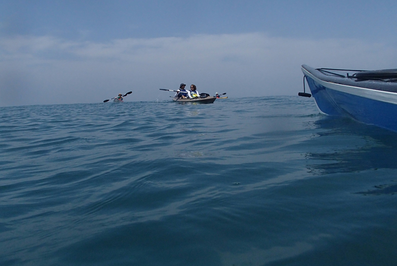 P7151120.jpg