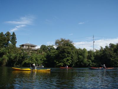 PA165552.jpg