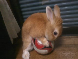 003_20111015200457.jpg