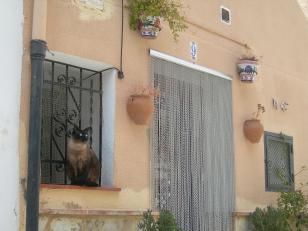 cascoantiguo20120302