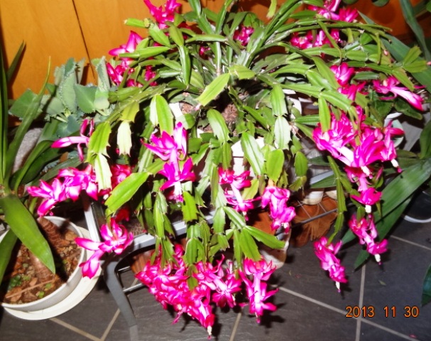006_20131130135414e77.jpg