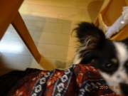 009_20131207140729668.jpg