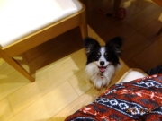 010_20131207140732177.jpg