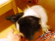 012_20131207140739ee0.jpg