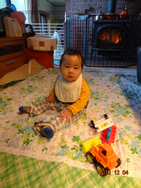 013_20131204120043252.jpg