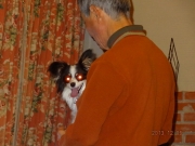 016_2013120612423717a.jpg