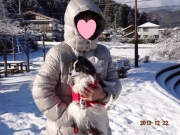 112_20131224180119704.jpg