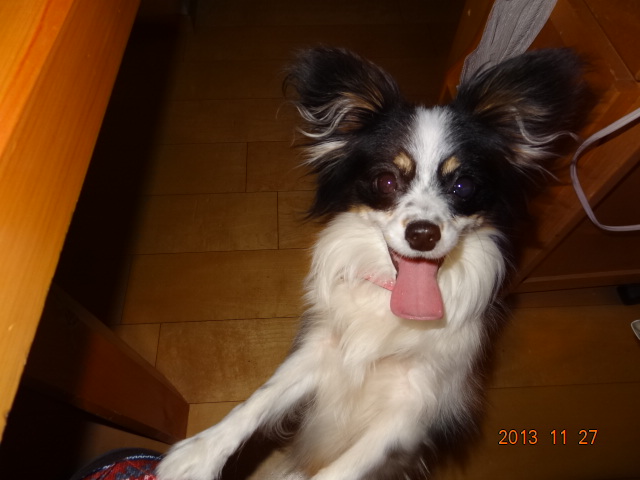 DSC06393.jpg