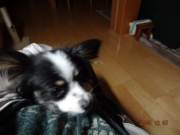 DSC06600.jpg