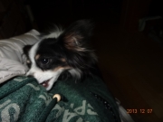 DSC06601.jpg