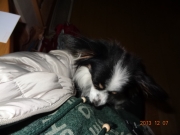 DSC06602.jpg