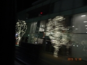 DSC06630.jpg