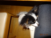 DSC06687.jpg