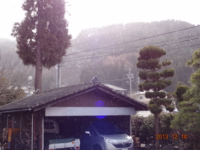DSC06693.jpg