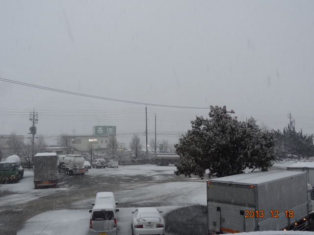 DSC06758.jpg