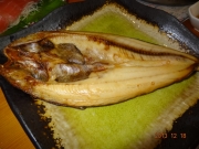 DSC06768.jpg