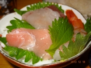 DSC06775.jpg
