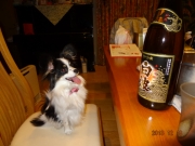DSC06776.jpg