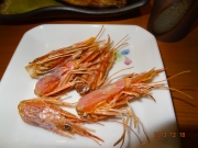 DSC06777.jpg