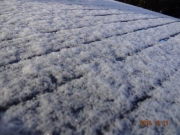 DSC06817.jpg