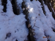 DSC06819.jpg