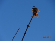 DSC06825.jpg