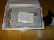 DSC06830.jpg