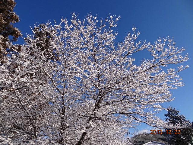 DSC06864.jpg