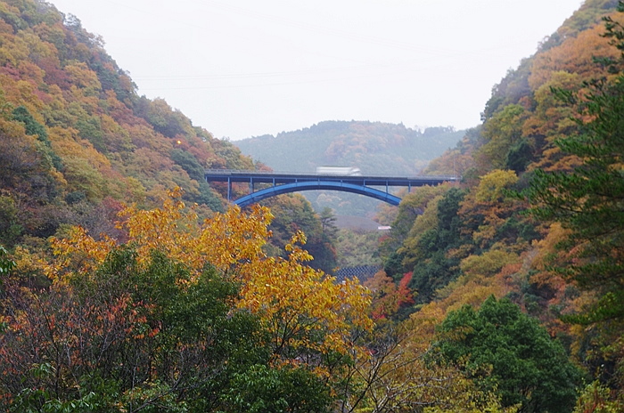 IMGP7337_R.jpg