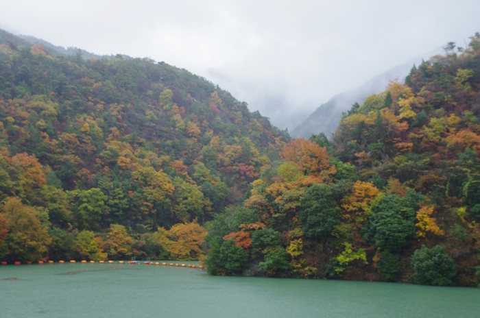 IMGP7526_R.jpg