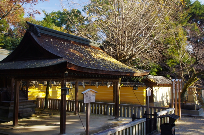 IMGP7843_R.jpg