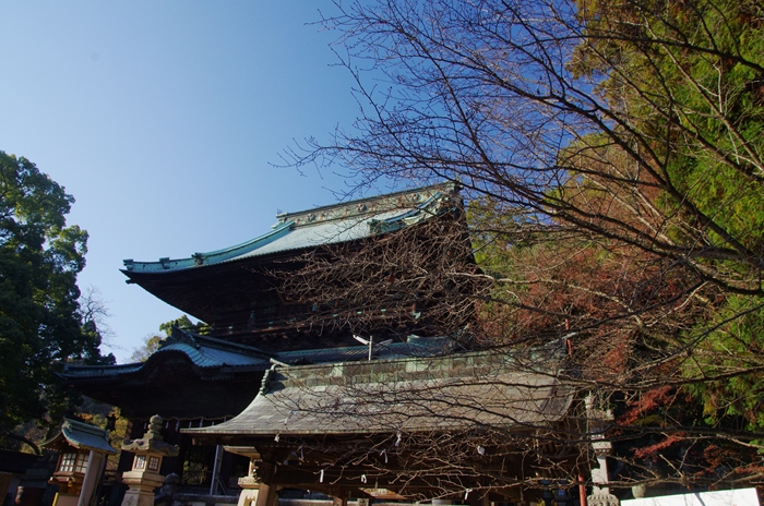 IMGP7844_R.jpg