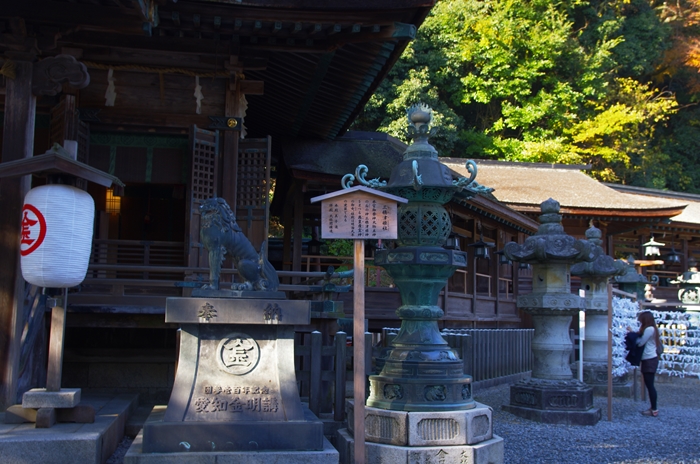 IMGP7880_R.jpg