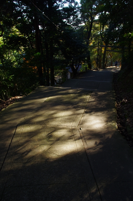 IMGP7890_R.jpg