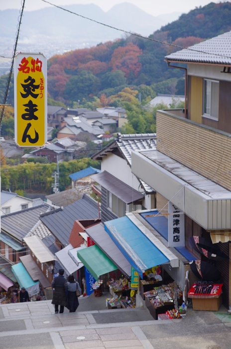 IMGP7927_R.jpg