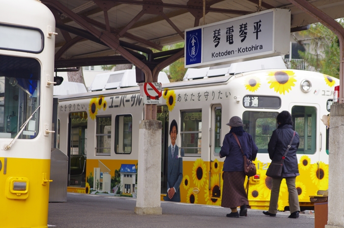 IMGP7944_R.jpg