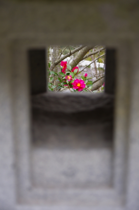 IMGP8014_R.jpg