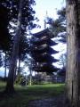 20110927071416.jpg
