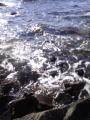 20110927072221.jpg