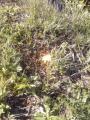 20110927072804.jpg